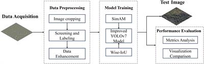 Automatic detection of standing dead trees based on improved YOLOv7 from airborne remote sensing imagery